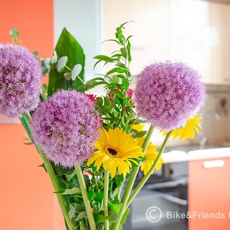Appartement Il Rifugio Dell'artista