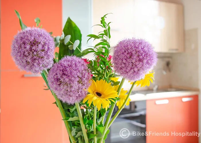 Daire Il Rifugio Dell'artista